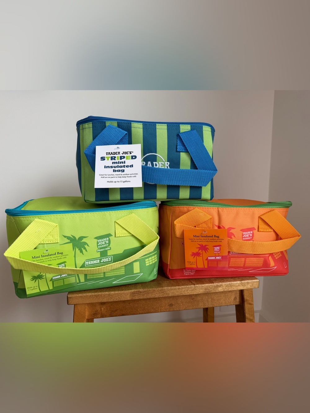 Trader Joe’s Bags Set of 3 Mini Insulated Totes Summer Collection 2026